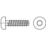 Flachkopf- Blechschrauben mit Zapfen mit ISR (~TORX) ISO 14585