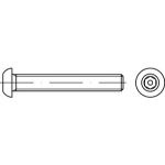 Diebstahlhemmende Flachkopfschrauben (~ISO 7380) ISK (~Inbus) mit Pin mit metrischem Gewinde