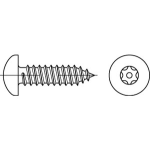 Diebstahlhemmende Linsenkopfschrauben DIN 7981 ISR (~Torx) mit Pin mit Blechgewinde