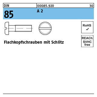 Flachkopfschrauben mit Schlitz - ISO 1580/DIN 85 - Edelstahl A2 - M5x30 - 100 Stück