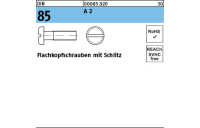 Flachkopfschrauben mit Schlitz - ISO 1580/DIN 85 - Edelstahl A2 - M5x30 - 100 Stück