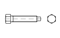10 Stück, DIN 561 22 H (8.8) galvanisch verzinkt Sechskantschrauben mit Zapfen und kleinem Sechskant, mit Gewindeauslauf - Abmessung: BM 16 x 100