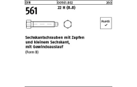 DIN 561 22 H (8.8) Sechskantschrauben mit Zapfen und kleinem Sechskant, mit Gewindeauslauf - Abmessung: BM 24 x 70, Inhalt: 10 Stück