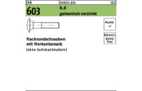 200 Stück, DIN 603 8.8 galvanisch verzinkt Flachrundschrauben mit Vierkantansatz - Abmessung: M 6 x 45