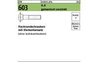 200 Stück, DIN 603 8.8 galvanisch verzinkt Flachrundschrauben mit Vierkantansatz - Abmessung: M 6 x 60