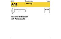 50 Stück, DIN 603 Messing Flachrundschrauben mit Vierkantansatz - Abmessung: M 8 x 60
