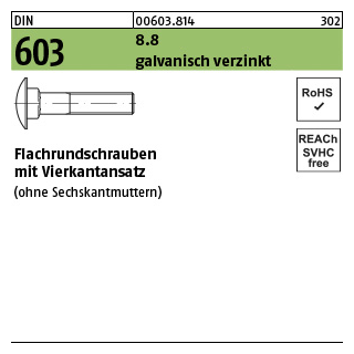 100 Stück, DIN 603 8.8 galvanisch verzinkt Flachrundschrauben mit Vierkantansatz - Abmessung: M 10 x 110