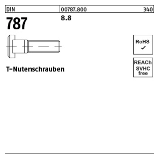 25 Stück, DIN 787 8.8 T-Nutenschrauben - Abmessung: 8 M 8 x 32