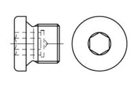 100 Stück, DIN 908 Stahl zyl.Fein galvanisch verzinkt verschlussschrauben mit Bund und Innensechskant, m. zyl. Feingewinde - Abmessung: M 8 x 1