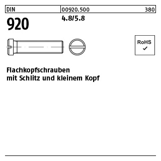 100 Stück, DIN 920 4.8/5.8 Flachkopfschrauben mit Schlitz und kleinem Kopf - Abmessung: M 3 x 3