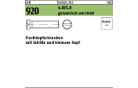 100 Stück, DIN 920 4.8/5.8 galvanisch verzinkt Flachkopfschrauben mit Schlitz und kleinem Kopf - Abmessung: M 3 x 3