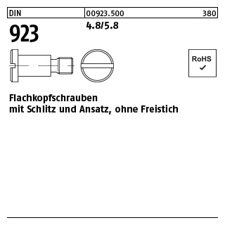 100 Stück, DIN 923 4.8/5.8 Flachkopfschrauben mit Schlitz und Ansatz, ohne Freistich - Abmessung: M 3 x 3 x 4,5
