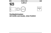 100 Stück, DIN 923 4.8/5.8 Flachkopfschrauben mit Schlitz und Ansatz, ohne Freistich - Abmessung: M 3 x 4 x 4,5