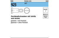 100 Stück, DIN 923 A 1 Flachkopfschrauben mit Schlitz und Ansatz - Abmessung: M 5 x 3 x 7,0