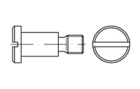 50 Stück, DIN 923 4.8/5.8 galvanisch verzinkt Flachkopfschrauben mit Schlitz und Ansatz, ohne Freistich - Abmessung: M10 x12 x13,5