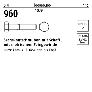 DIN 960 10.9 Sechskantschrauben mit Schaft, mit metrischem Feingewinde - Abmessung: M 10 x1,25x 50 VE= (100 Stück)