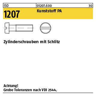 200 Stück, ISO 1207 Kunststoff PA Zylinderschrauben mit Schlitz - Abmessung: M 3 x 6