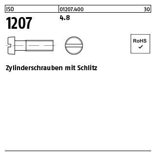 500 Stück, ISO 1207 4.8 Zylinderschrauben mit Schlitz - Abmessung: M 6 x 45