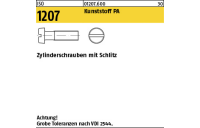 200 Stück, ISO 1207 Kunststoff PA Zylinderschrauben mit Schlitz - Abmessung: M 6 x 45