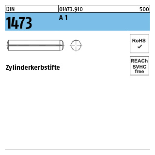100 Stück, DIN 1473 A 1 Zylinderkerbstifte - Abmessung: 2 x 8