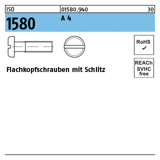 1000 Stück, ISO 1580 A 4 Flachkopfschrauben mit Schlitz - Abmessung: M 2 x 3