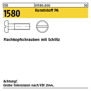 200 Stück, ISO 1580 Kunststoff PA Flachkopfschrauben mit Schlitz - Abmessung: M 4 x 10