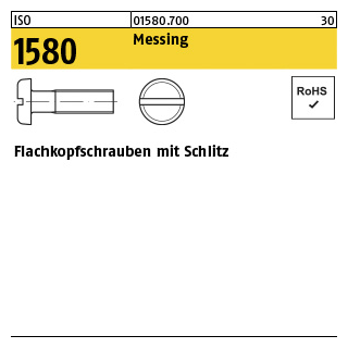 200 Stück, ISO 1580 Messing Flachkopfschrauben mit Schlitz - Abmessung: M 6 x 35