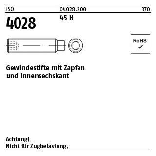 200 Stück, ISO 4028 45 H Gewindestifte mit Zapfen und Innensechskant - Abmessung: M 5 x 40