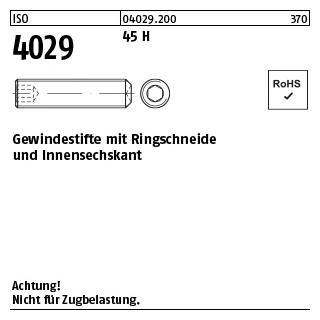 500 Stück, ISO 4029 45 H Gewindestifte mit Ringschneide und Innensechskant - Abmessung: M 2 x 2,5