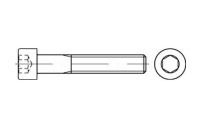 Zylinderschrauben mit Innensechskant - DIN 912/ISO 4762 - Edelstahl A4 (-70) - M3x22* - 100 Stück