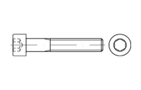 100 Stück, ISO 4762 8.8 galvanisch verzinkt Zylinderschrauben mit Innensechskant - Abmessung: M 6 x 115