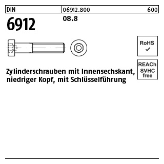 500 Stück, DIN 6912 08.8 Zylinderschrauben mit Innensechskant, niedriger Kopf, mit Schlüsselführung - Abmessung: M 5 x 10