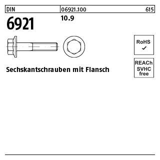 500 Stück, DIN 6921 10.9 Sechskantschrauben mit Flansch - Abmessung: M 5 x 20