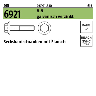 500 Stück, DIN 6921 8.8 galvanisch verzinkt Sechskantschrauben mit Flansch - Abmessung: M 6 x 20