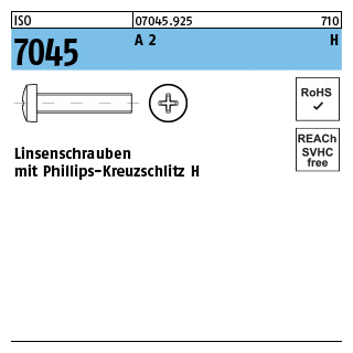 1000 Stück, ISO 7045 A 2 H Linsenschrauben mit Phillips-Kreuzschlitz H - Abmessung: M 2,5 x 3 -H