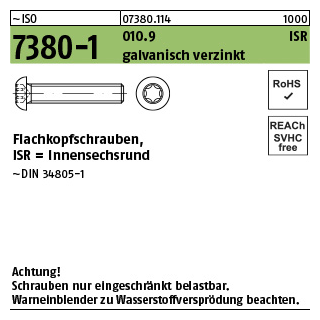 500 Stück, ~ISO 7380-1 010.9 ISR galvanisch verzinkt Flachkopfschrauben, mit Innensechsrund - Abmessung: M 4 x 20 -T20