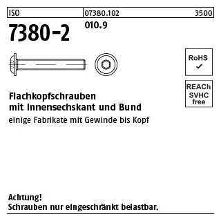 500 Stück, ISO 7380-2 010.9 Flachkopfschrauben mit Innensechskant und Bund - Abmessung: M 5 x 12