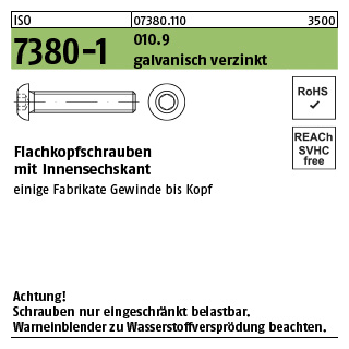 200 Stück, ISO 7380-1 010.9 galvanisch verzinkt Flachkopfschrauben mit Innensechskant - Abmessung: M 8 x 60