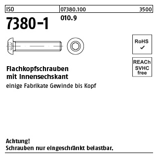 100 Stück, ISO 7380-1 010.9 Flachkopfschrauben mit Innensechskant - Abmessung: M 10 x 35