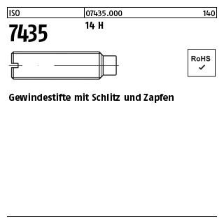100 Stück, ISO 7435 14 H Gewindestifte mit Schlitz und Zapfen - Abmessung: M 6 x 10