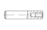 100 Stück, DIN 7979 Stahl Form D/m 6 Zylinderstifte mit Innengewinde, gehärtet, Toleranzfeld m6 - Abmessung: D 5 x 12