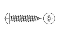 100 Stück, DIN 7981 Stahl Form C-Z galvanisch verzinkt Linsen-Blechschrauben mit Spitze, mit Pozidriv-Kreuzschlitz Z - Abmessung: 6,3x 19 -C-Z