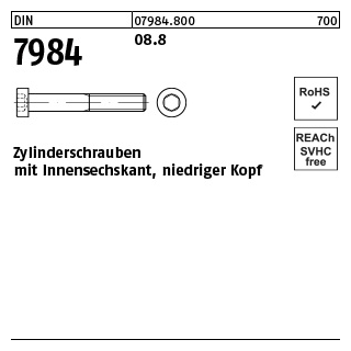200 Stück, DIN 7984 08.8 Zylinderschrauben mit Innensechskant, niedriger Kopf - Abmessung: M 5 x 45