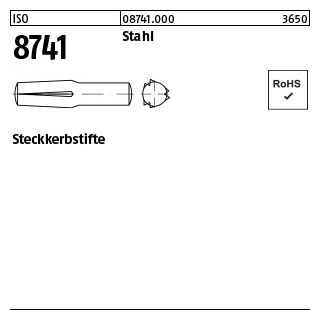 250 Stück, ISO 8741 Stahl Steckkerbstifte - Abmessung: 3 x 10