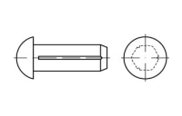 100 Stück, ISO 8746 1.4303 (A 2) Form A Halbrundkerbnägel, mit Fase - Abmessung: 1,4 x 6