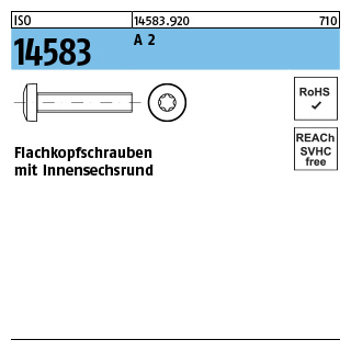 1000 Stück, ISO 14583 A 2 Flachkopfschrauben mit Innensechsrund - Abmessung: M 1,6 x 2