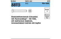 100 Stück, Artikel 88113 A 2 Pin-I6kt. Diebstahlhemmende Schrauben m. Flachkopf ~ ISO 7380, mit ISK und Zapfen - Abmessung: M 4 x 6