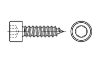200 Stück, Artikel 88312 A 2 Form C Zylinder-Blechschrauben mit Innensechskant mit Spitze - Abmessung: C 4,8 x 13