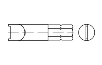 1 Stück, Artikel 88665 Stahl Zweiloch gehärtet Spezial-Bits für diebstahlhemmende Schrauben mit Snake Eye Antrieb - Abmessung: M 4