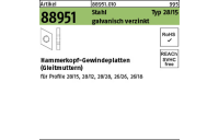 100 Stück, Artikel 88951 Stahl Typ 28/15 galvanisch verzinkt Hammerkopf-Gewindeplatten (Gleitmuttern) - Abmessung: M 6